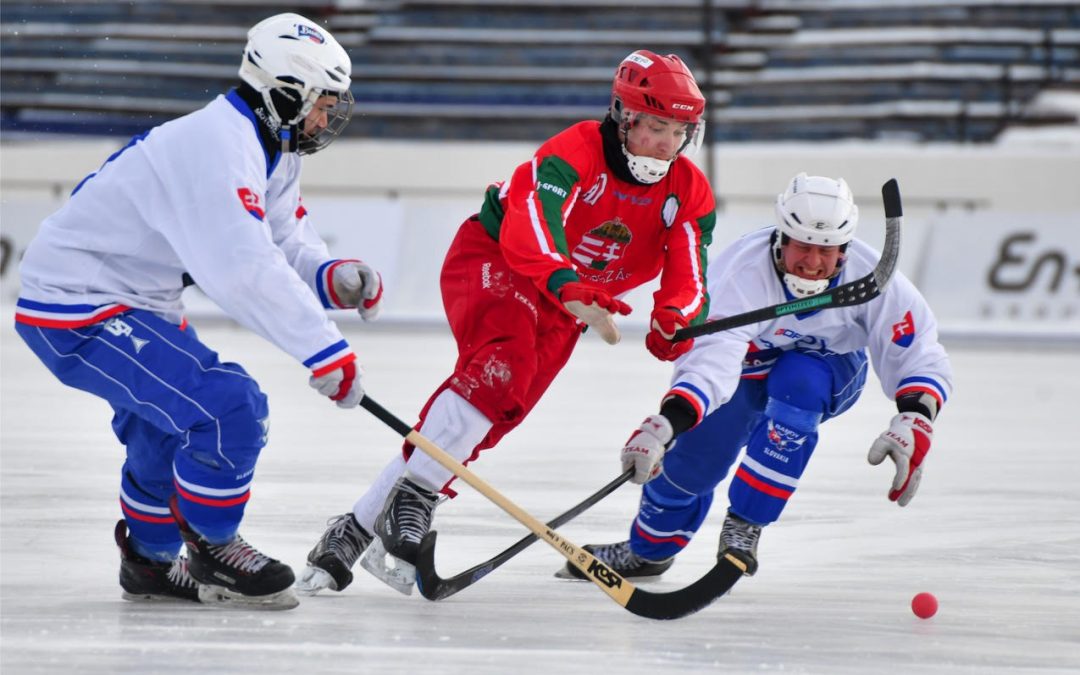 FIB World Championship 2025 will be in Sweden