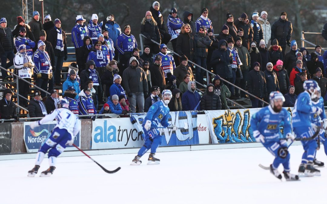 The International Bandy Federation convened to prepare for the Electoral Congress on June 8th.
